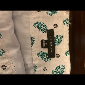 Ann Taylor skirt